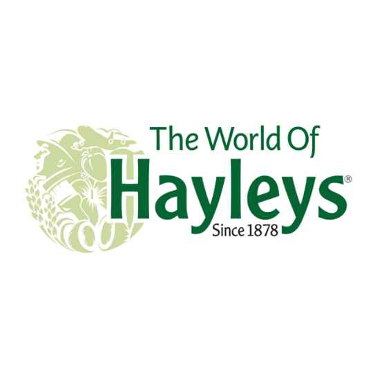 Hayleys Logo